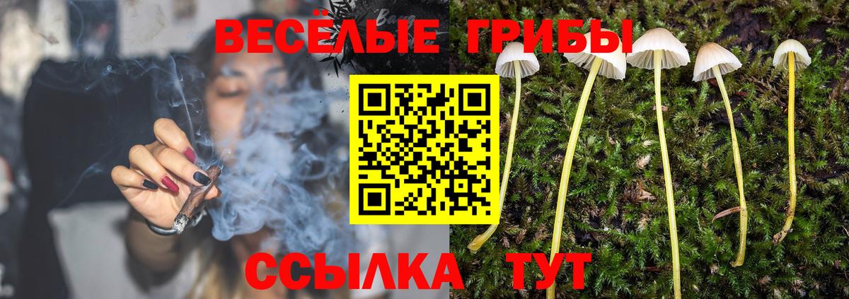 Псилоцибиновые грибы MAGIC MUSHROOMS  Вход с VPN  Псилоцибиновые грибы мухоморы  Острогожск 