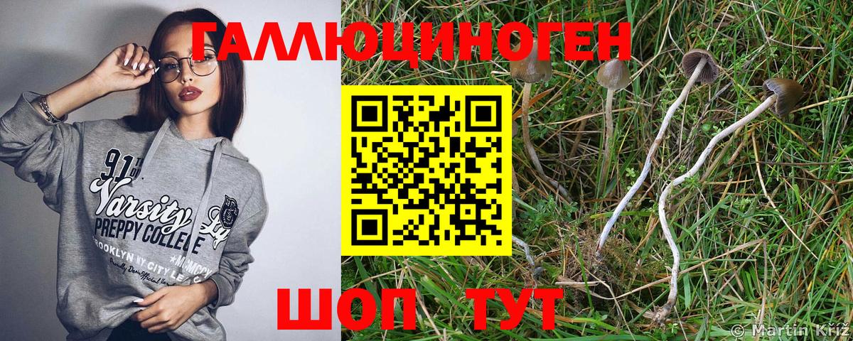 Псилоцибиновые грибы прущие грибы Острогожск