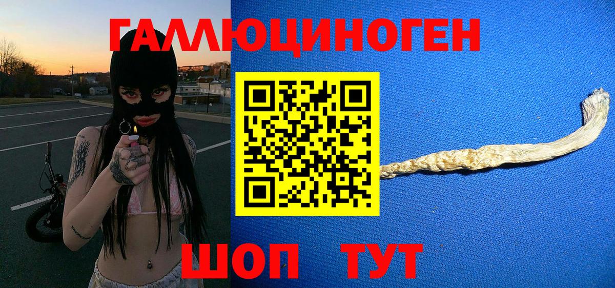 Галлюциногенные грибы прущие грибы Острогожск